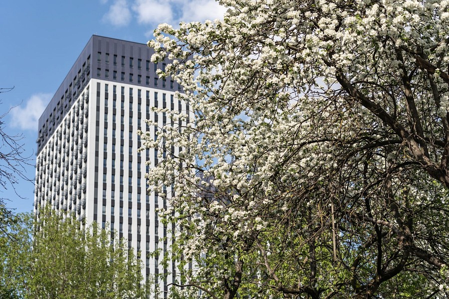 Яблоневый сад 3